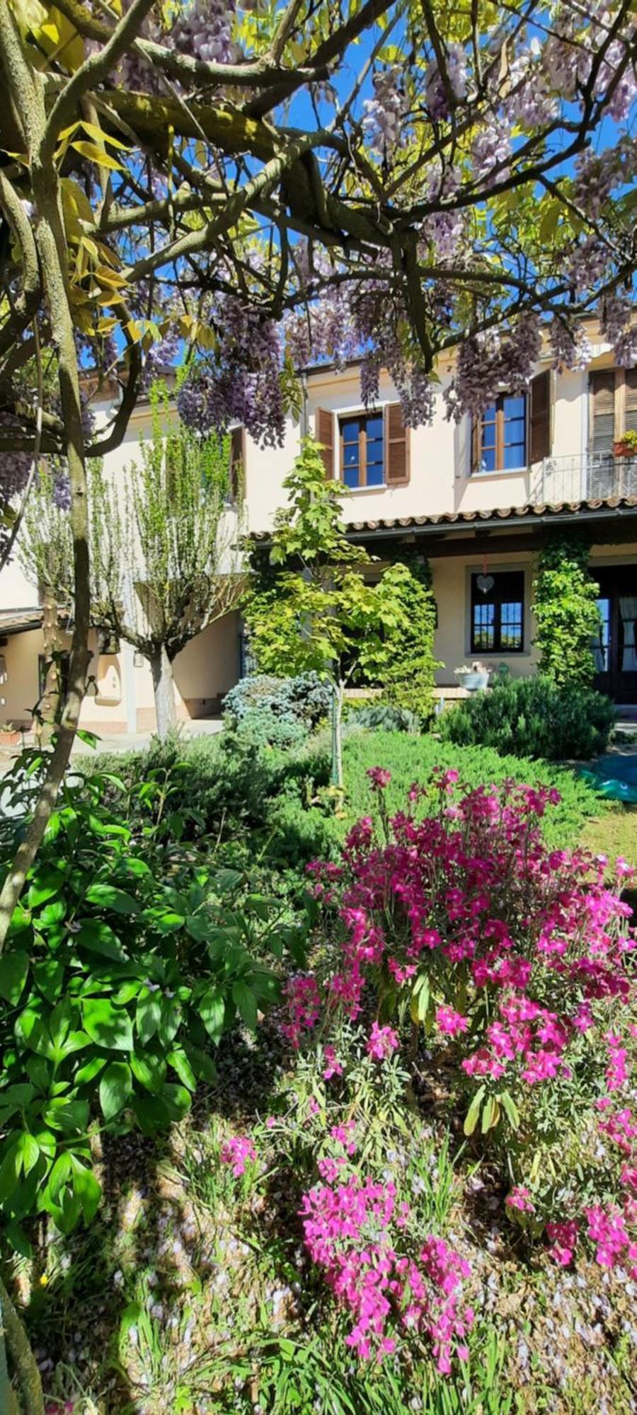 San Rocco Di Villa Di Isola D'Asti Exteriér fotografie