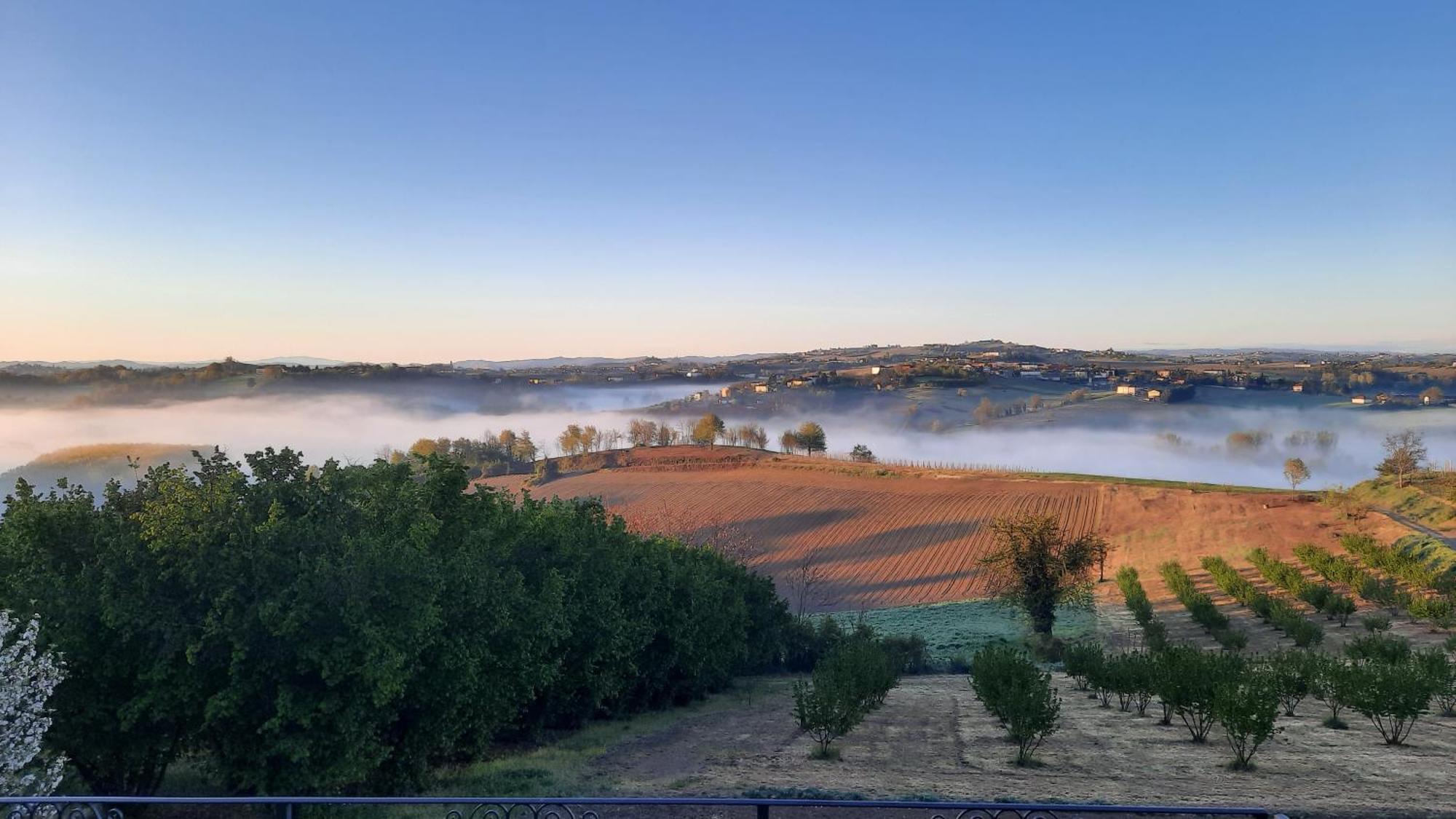 San Rocco Di Villa Di Isola D'Asti Exteriér fotografie