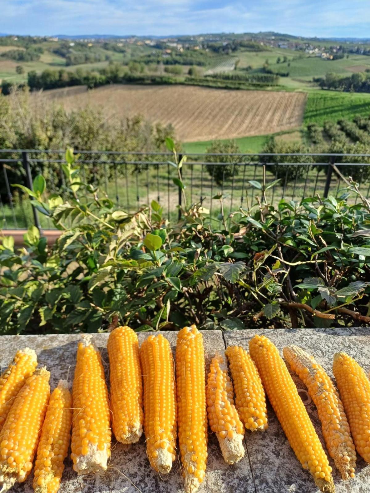 San Rocco Di Villa Di Isola D'Asti Exteriér fotografie